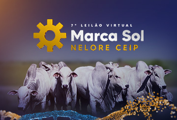 7º LEILÃO VIRTUAL MARCA SOL NELORE
